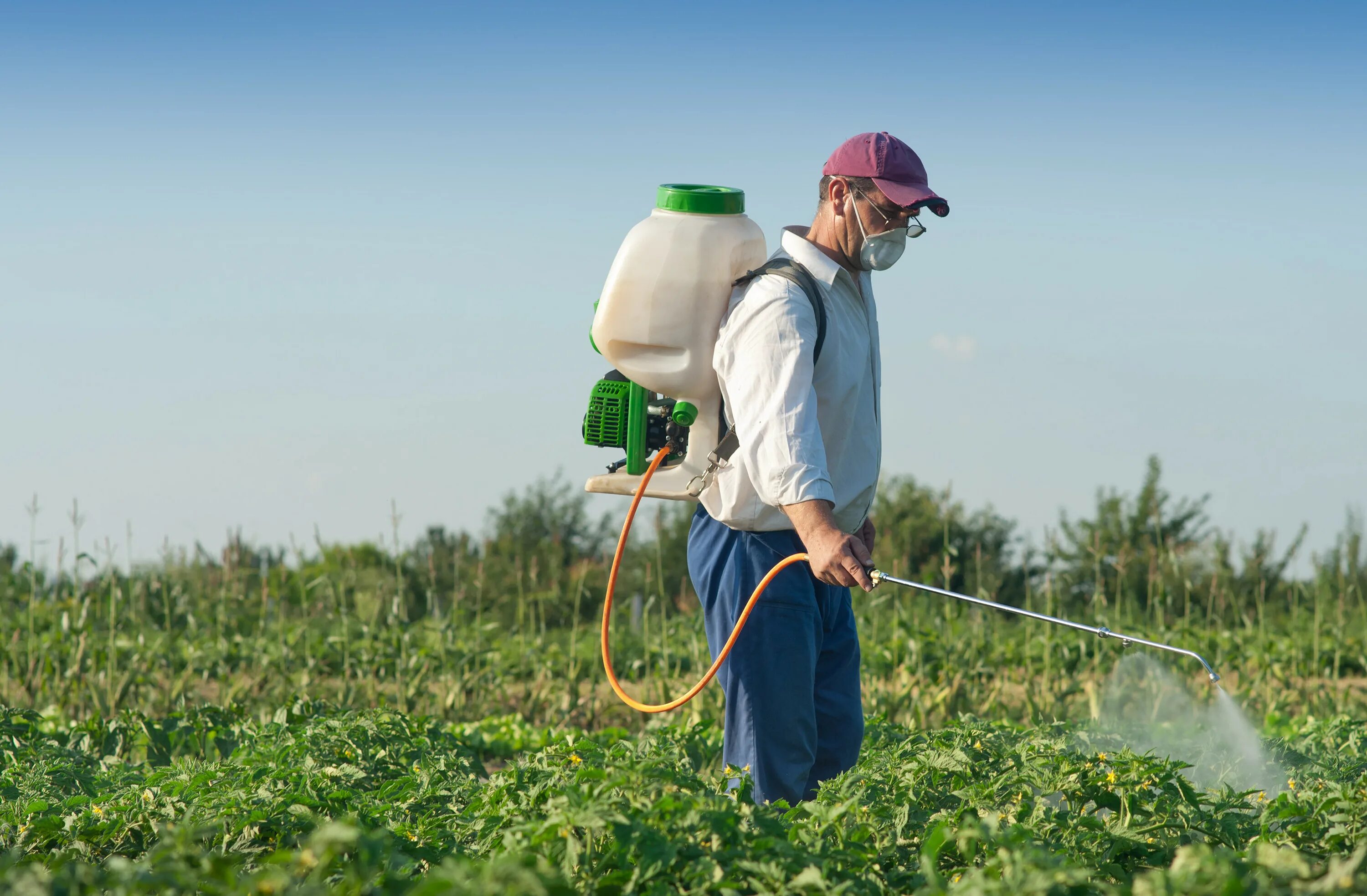 Plants control. Гербициды в сельском хозяйстве. Опрыскивание инсектицидами. Пестициды и гербициды. Химикаты для растений.