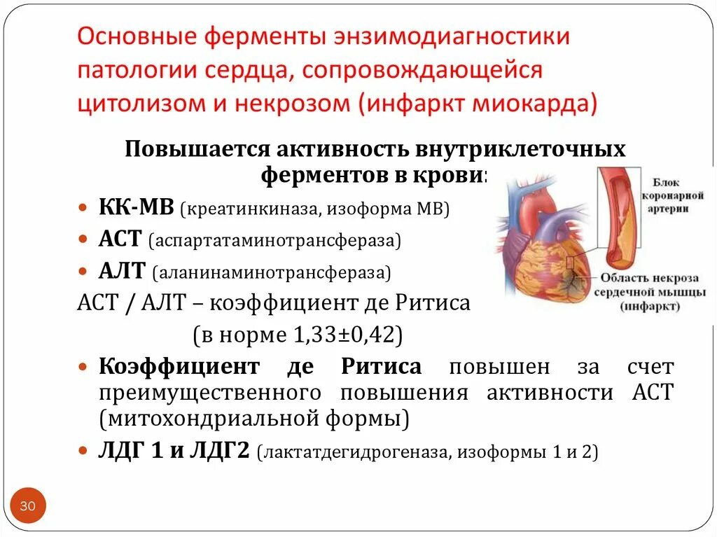 Ферменты сердца. При инфаркте миокарда анализы крови фермент. Повышение активности ферментов при инфаркте миокарда. При инфаркте миокарда повышается активность фермента крови. Ферменты энзимодиагностики инфаркта миокарда.