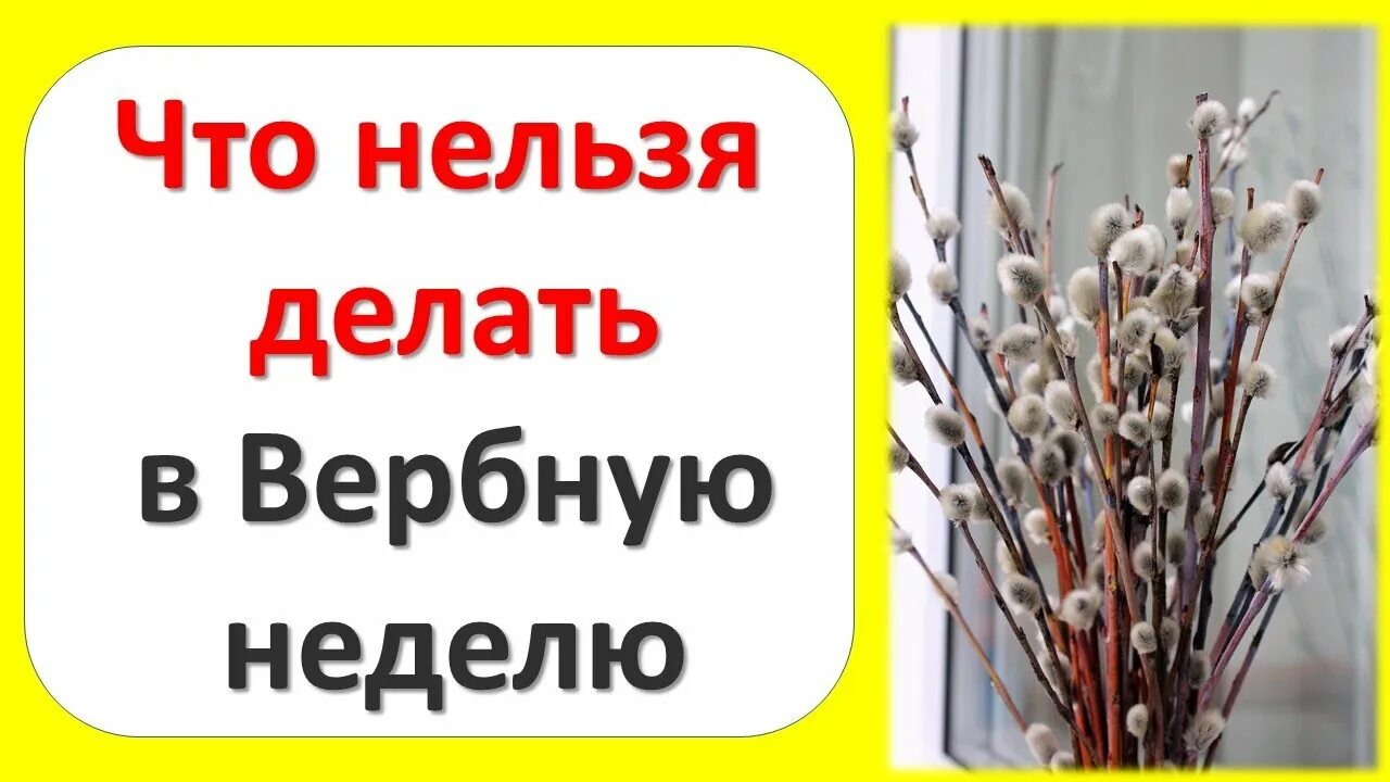 Вербная Воскресение и неделя Вербная. Вербное воскресенье приметы и традиции. Вербная неделя приметы. С началом Вербной недели. Когда начинается вербная неделя