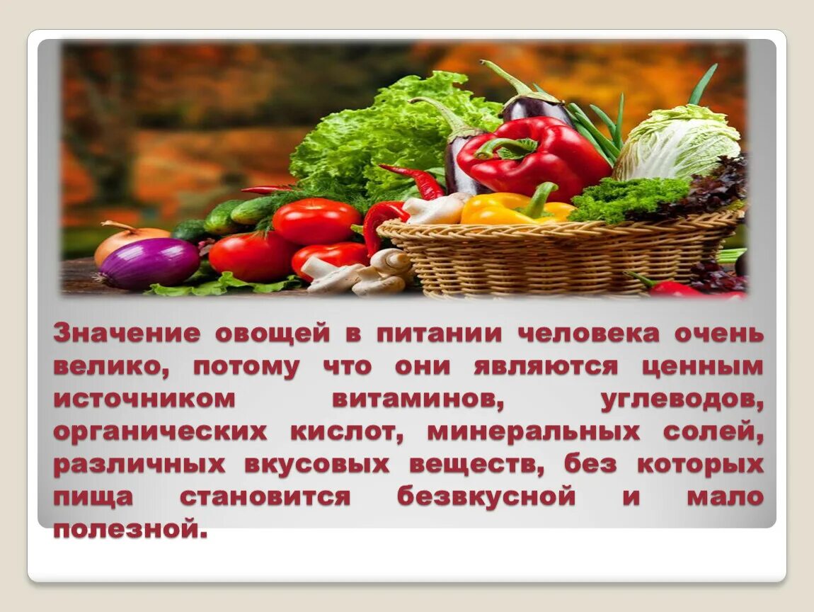 Овощи в питании человека. Значение овощей в питании человека. Овощи в питании человека являются источником. Овощи в питании человека блюда из овощей. Значение овощей в питании