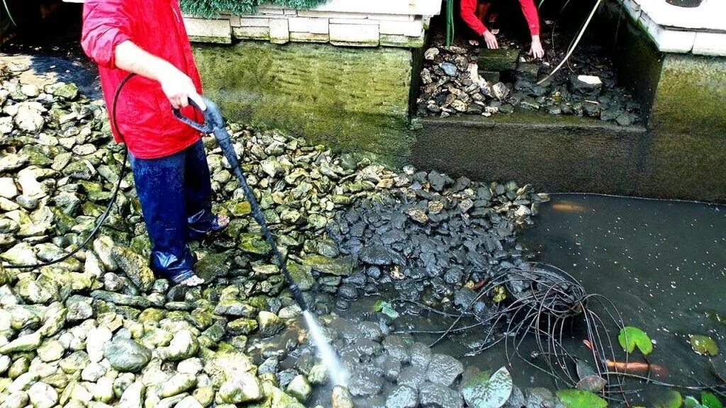 Чистить водоем. Очистка водоемов. Очистка водоемов от водорослей. Чистка пруда. Очиститель пруда от водорослей.