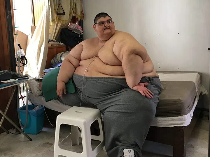 Толстяка лист