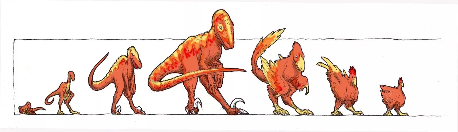 Динозавры развитие. Тиранозавр курица Эволюция. Курица потомок динозавров. Тираннозавр предок курицы. Джек Хорнер Курозавр.