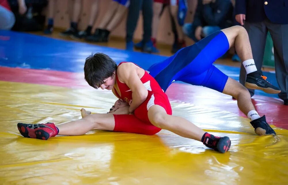 Первенство россии по спортивной борьбе. Борьба Иркутск. "Республиканский СДЮСШОР по видам борьбы". Трикожка для девочек грекорим.