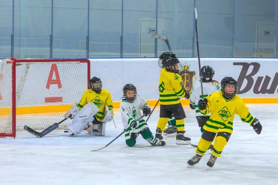 Кубок улк. Хоккейная команда вельск улк. Улк вельск. Улк устьянский район. Хк улк вельск.