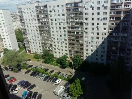 Печатники полбина
