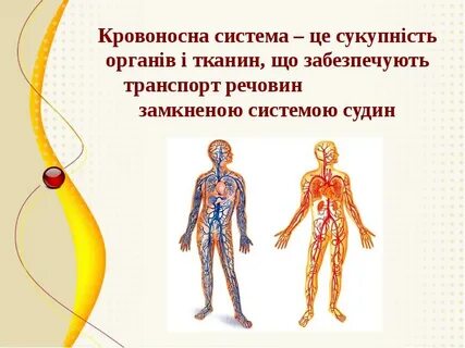 Система це