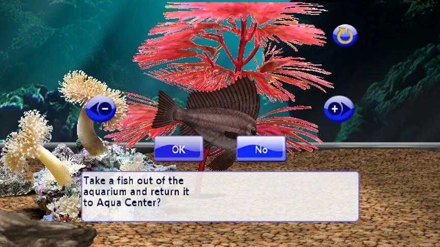 Aquaria 2. Игра Аквария 2. My Aquarium игра. Игра Аквария 2 Дата выхода. Aqua two.