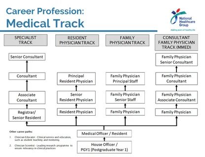 Career paths ответы