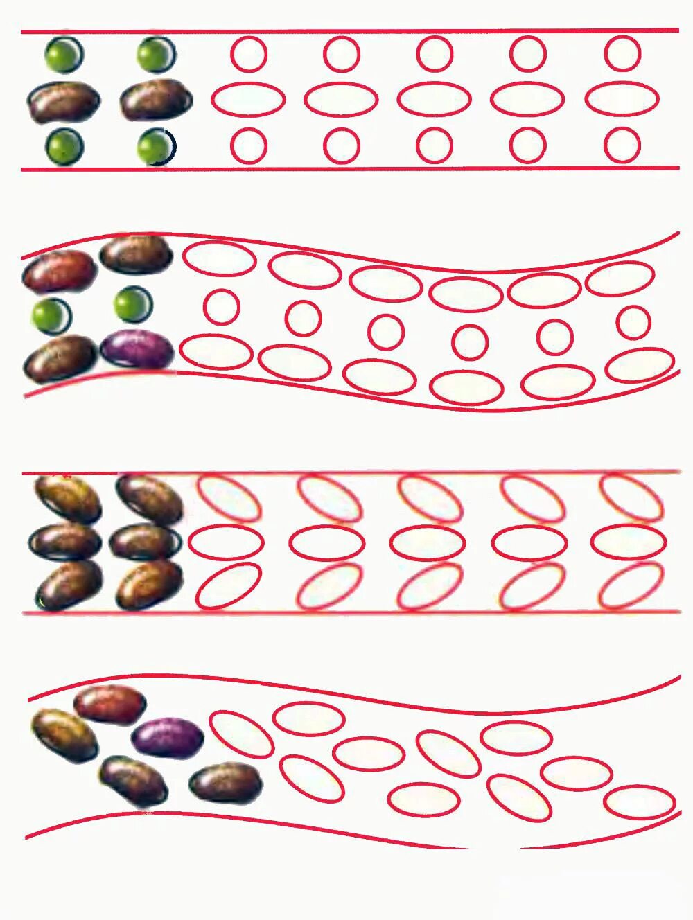 Дорожка здоровья для детей. Бумага для скрапбукинга зеленая. Садовые дорожки из булыжника. Дорожка в сад. Спортивные дорожки для детей.