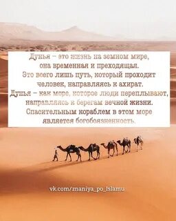 Дунья это