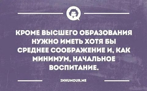 Почему высшее образование не нужно