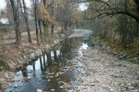 Река перемен последнее видео