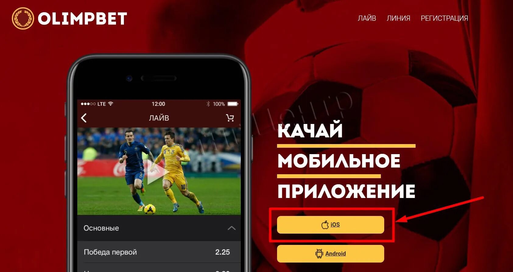 Бк олимп приложение на андроид. Приложение олимп. мобильное приложение бк олимп. бк с мобильным приложением. олимпбет приложение.