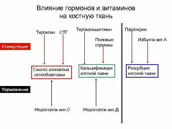Как влияют гормональные