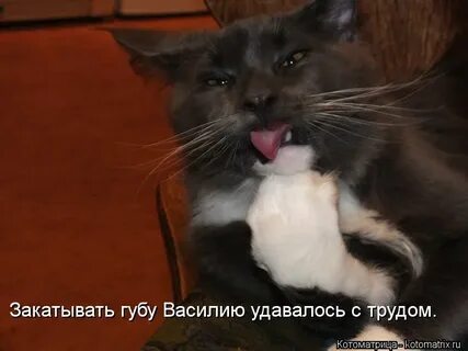 Закатывать губу