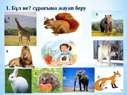 Порно актриса Дарья