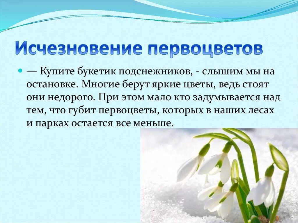 Какой частью речи является подснежник. Раннецветущие растения Подснежник. Первоцветы подснежники. Проект первоцветы. Первоцветы презентация.