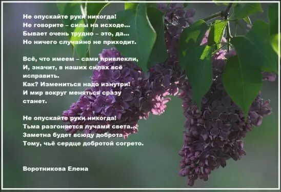 Ничего никогда не бывает. Не опускайте руки никогда. не опускайте руки никогда стихотворение. не опускайте руки никогда не говорите силы на исходе. никогда не говори никогда стихи.