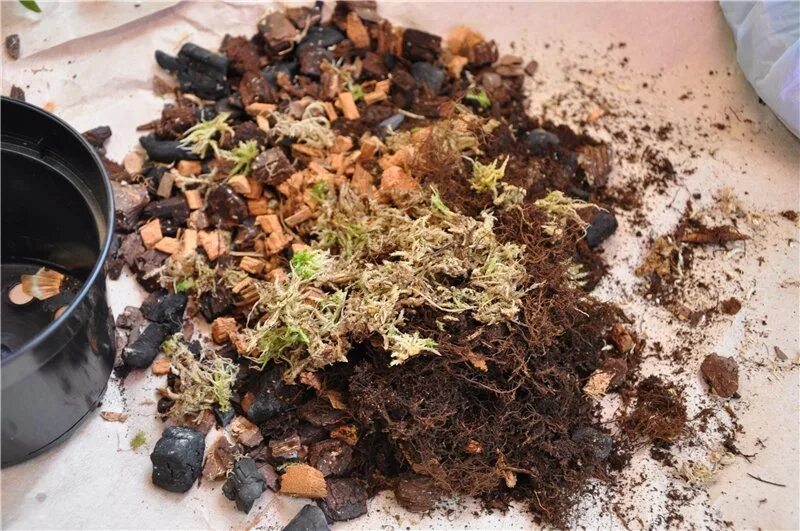 Слой субстрата для орхидей. Грунт для орхидей состав. Виды субстратов. Нужно субстрата. Субстрат цирхум.