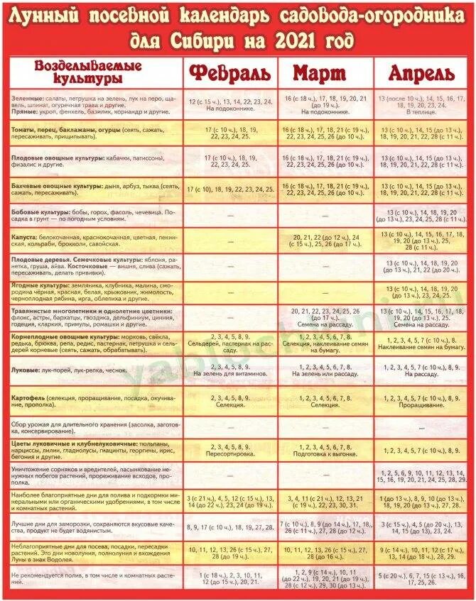 Лунный календарь на 2024г огородника томаты. Лунный календарь садовода на 2021 год. Лунный посевной календарь огородника на 2021 год. Лунный календарь на 2021 год садовода и огородника. Лунный посевной календарь на 2021 год таблица.