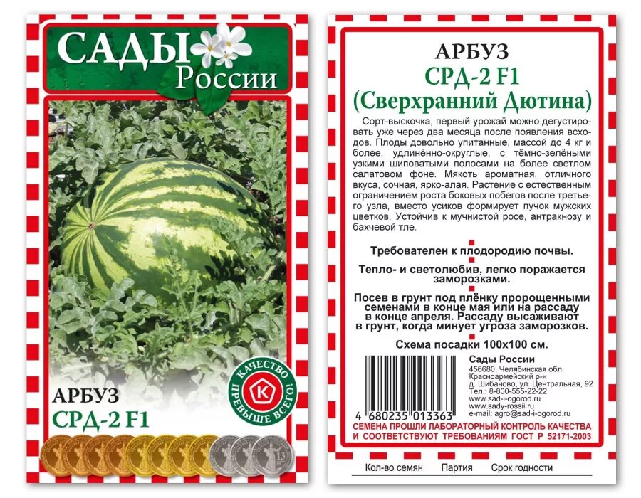 Когда сажать арбузы в сибири. Сорта арбузов для Сибири в открытом грунте скороспелые сорта. Арбуз Срд-2 описание. Арбуз сверхранний Дютина. Сверхранний сорт арбуза.