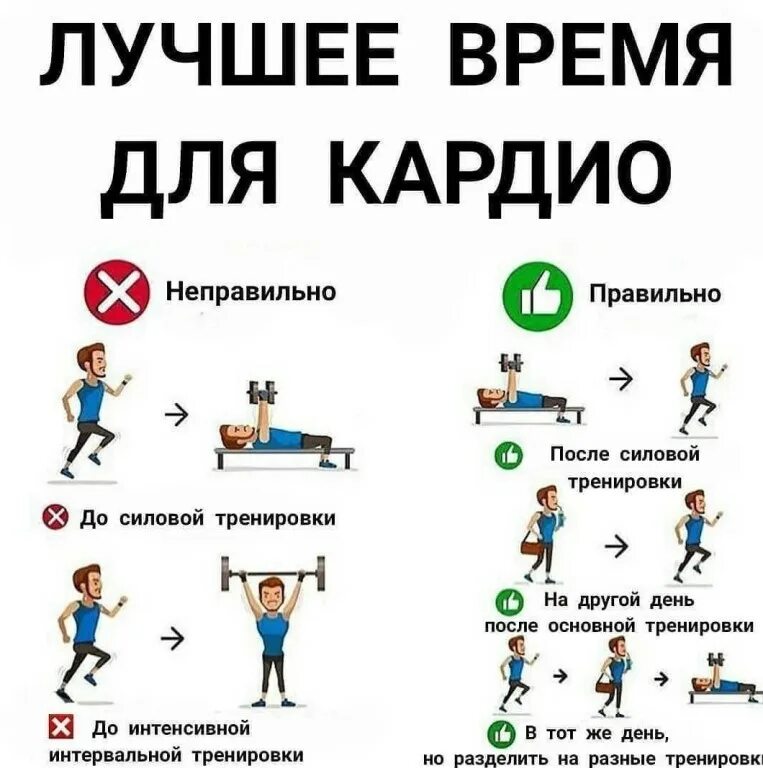 Как повысить кардио выносливость. Кардио упражнения. силовые упражнения для похудения. тренировки для сжигания жира. упражнения на каждый день.