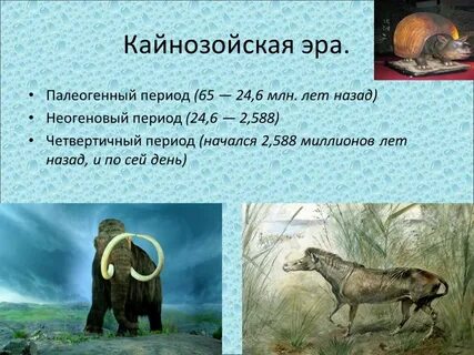 Эпохи кайнозоя