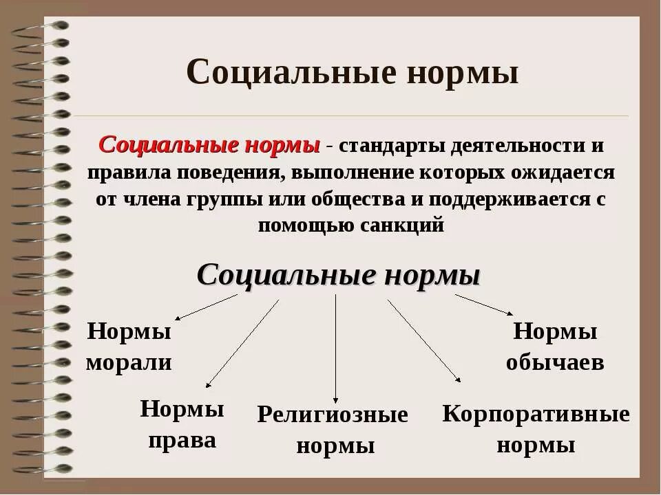 Нормы позитивного и социального поведения