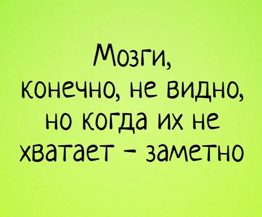 Мозги не на месте. Про мозги смешные высказывания. Цитаты про мозги смешные. Статус про мозги. Анекдоты про мозг.