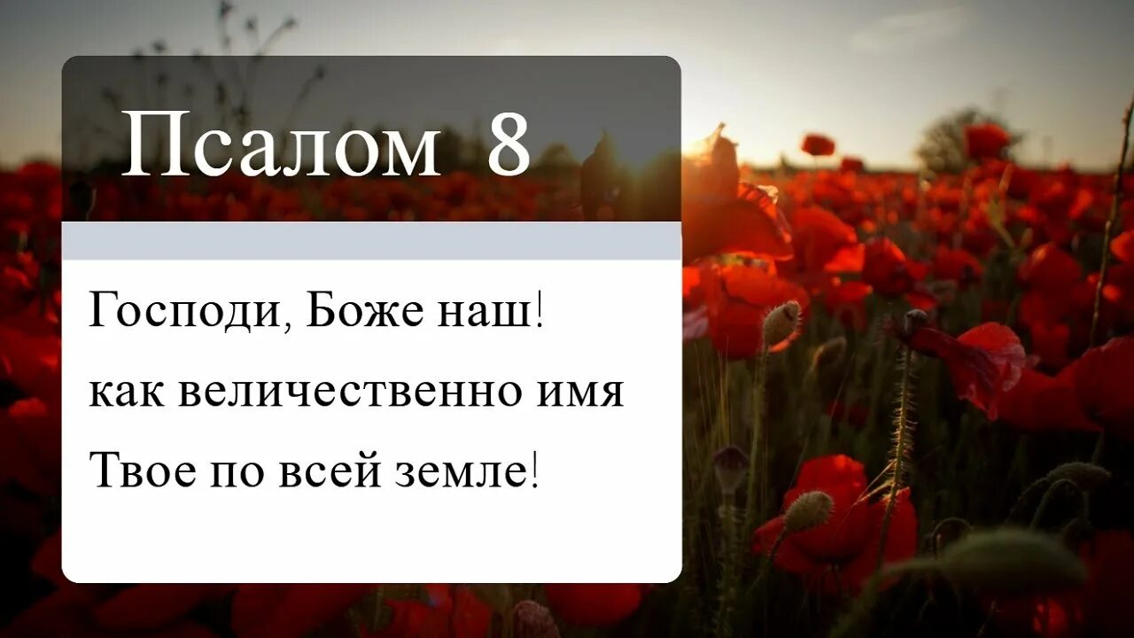 Псалом бондаренко