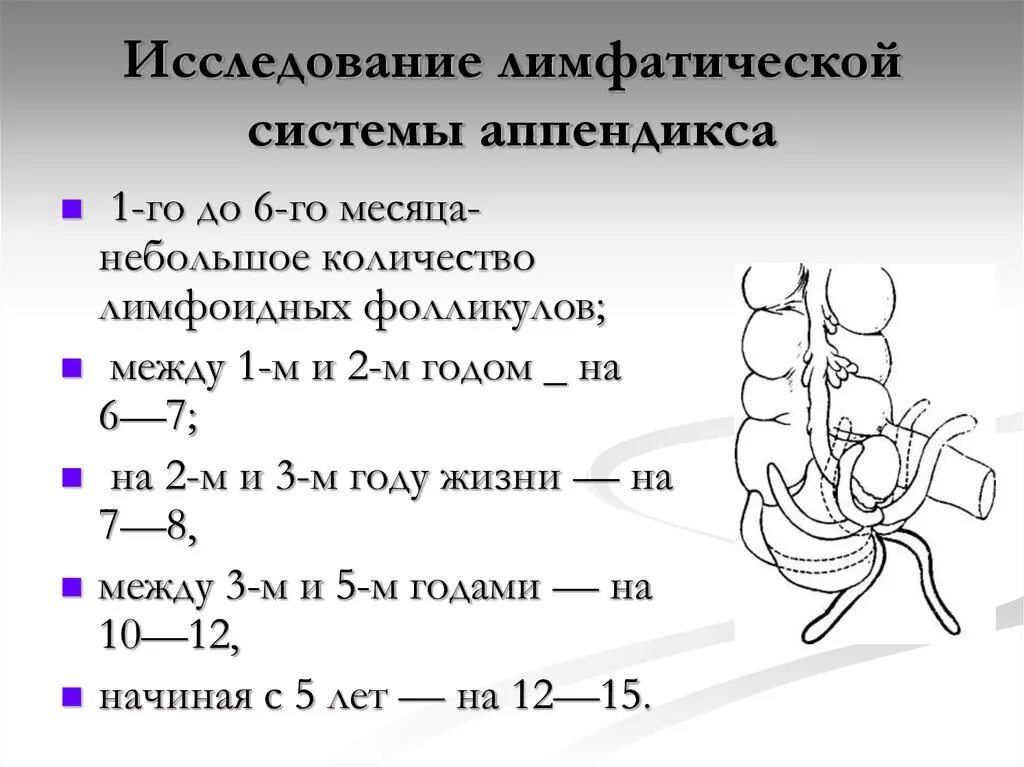 Размер аппендикса. Лимфоотток червеобразного отростка. Нормальное расположение червеобразного отростка. Варианты расположения червеобразного отростка. Положения червеобразного отростка.