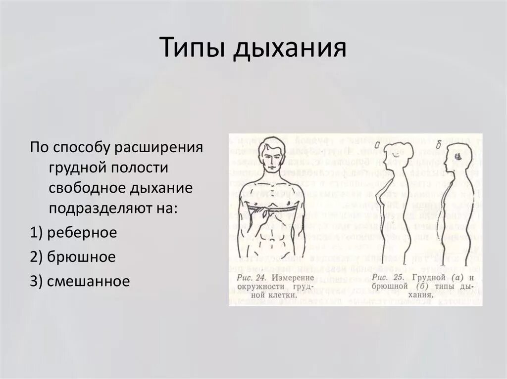 Какой тип дыхания. Типы дыхания грудной брюшной и смешанный. Грудной Тип дыхания. Грудной и брюшной Тип дыхания. Грудной Тип дыхания характерен для.