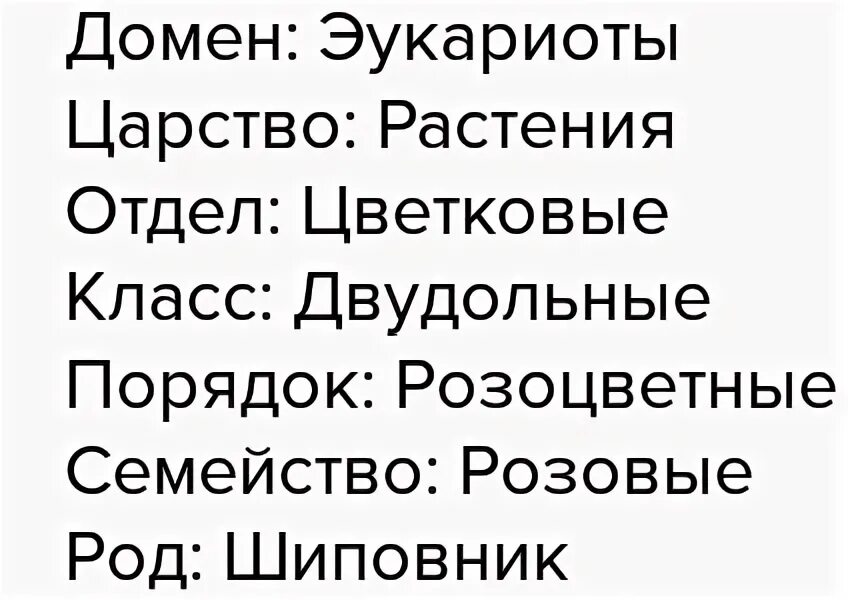 Контрольная работа отделы царства растений