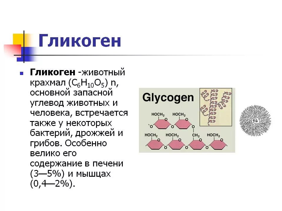 1 гликоген относится к. Углевод гликоген формула. Гликоген молекулярная формула. Гликоген формула химическая. Формула гликогена в химии.