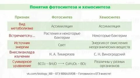 Характеристика процессов фотосинтеза и хемосинтеза