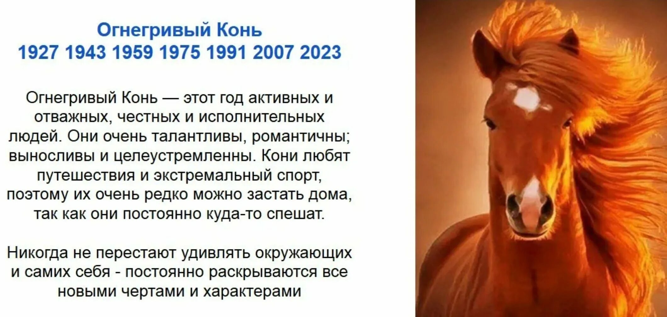 Лошадь по гороскопу характеристика. Рожденные в год лошади. Близнецам рожденным в год лошади. Год лошади характеристика. Год лошади по китайскому.