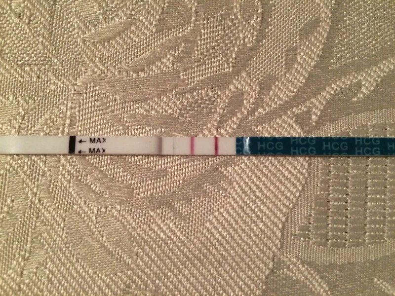 10 дпо тест чистый. 21 дпо. Фраутест ложноотрицательный. Тест на беременность для животных. Динамика тестов дпо.