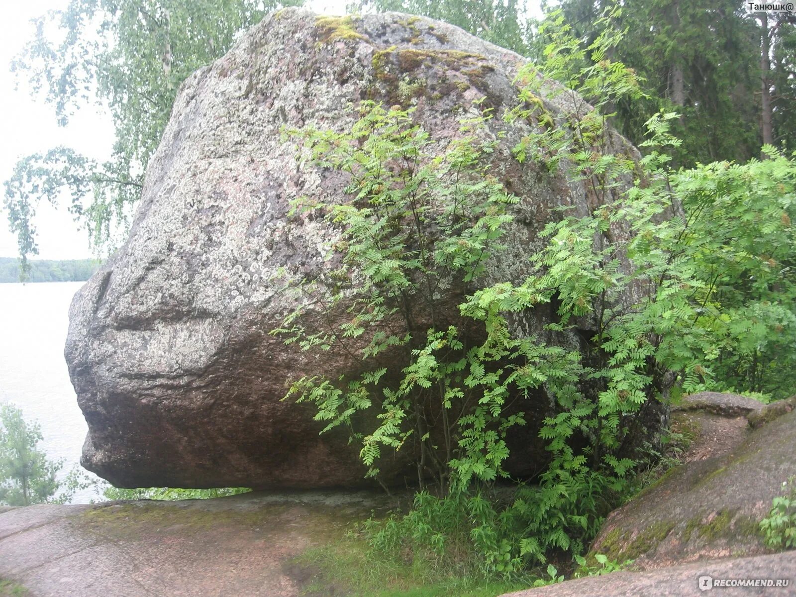 Монрепо парк Выборг камень. Камни в Выборге в Монрепо. Левкадийская скала в Монрепо. Парк Монрепо мегалиты. Парк монрепо в выборге цена входного билета