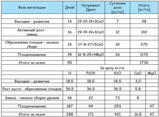 Урожайность огурца в открытом грунте с 1 га. Урожайность огурцов с 1 м2. Урожайность огурцов в открытом грунте с 1 м2. Урожай огурца в теплице с 1 м.кв. Урожайность огурцов с 1