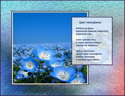 Стих утонула