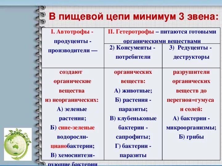 К продуцентам можно отнести