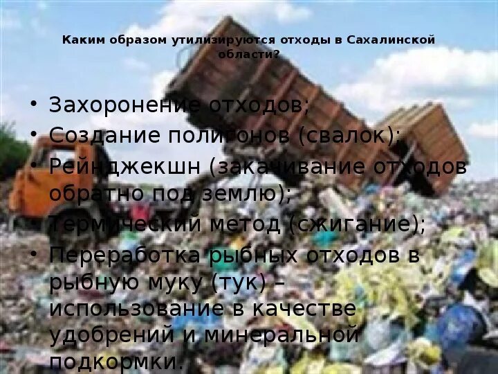 Проблемы сахалина. Проблемы сахалинской области. Экология сахалина. Экологические проблемы острова сахалин. Экологические проблемы сахалина география.