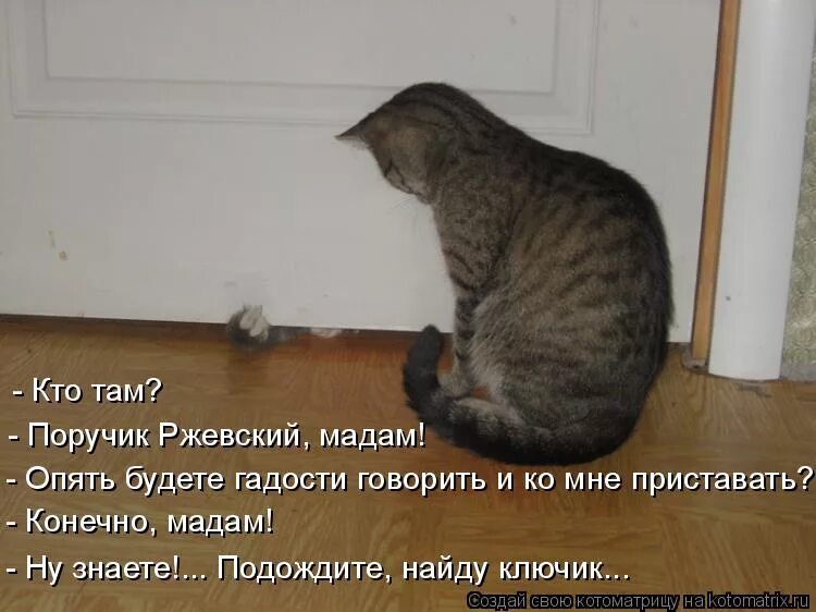 Котики с прикольными надписями. Коты приколы с надписями. Смешные кошки с надписями. Котоматрицы с надписями. Гадости бывшему мужу