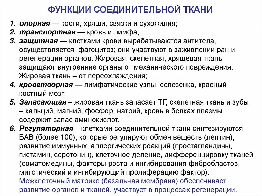 Какую функцию выполняет соединительная ткань. Основные функции соединительной ткани. соединительная ткань функции соединительная ткань функции. функции соединительной ткани в общем. опорная функция соединительной ткани.