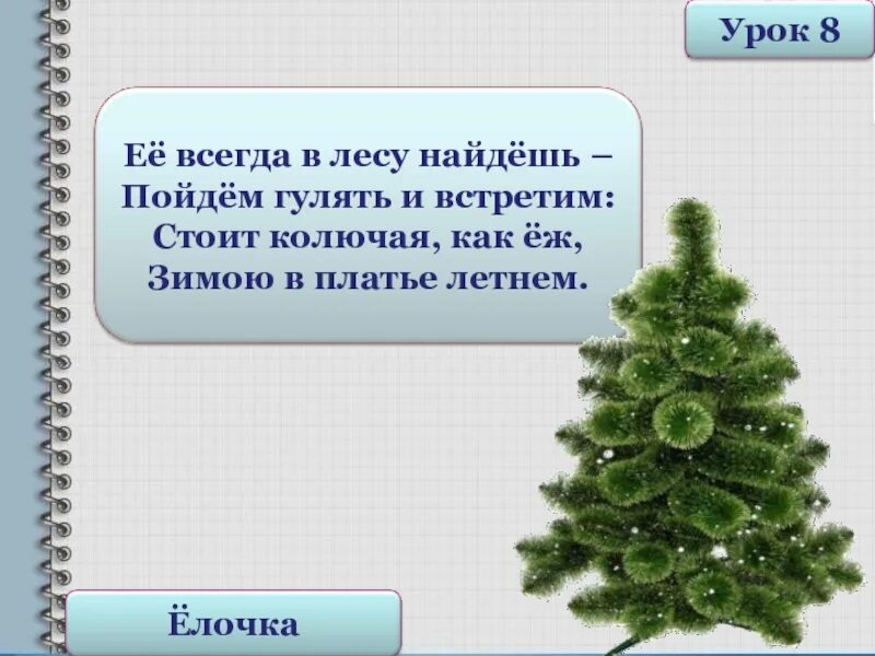 Её всегда в лесу найдёшь пойдём. Предложение со словом елка. Её всегда в лесу найдёшь стоит колючая как ёж. Загадка ее всегда в лесу найдешь стоит колючая как еж. Слова со словом елка