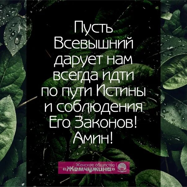 Пусть всевышний бережет