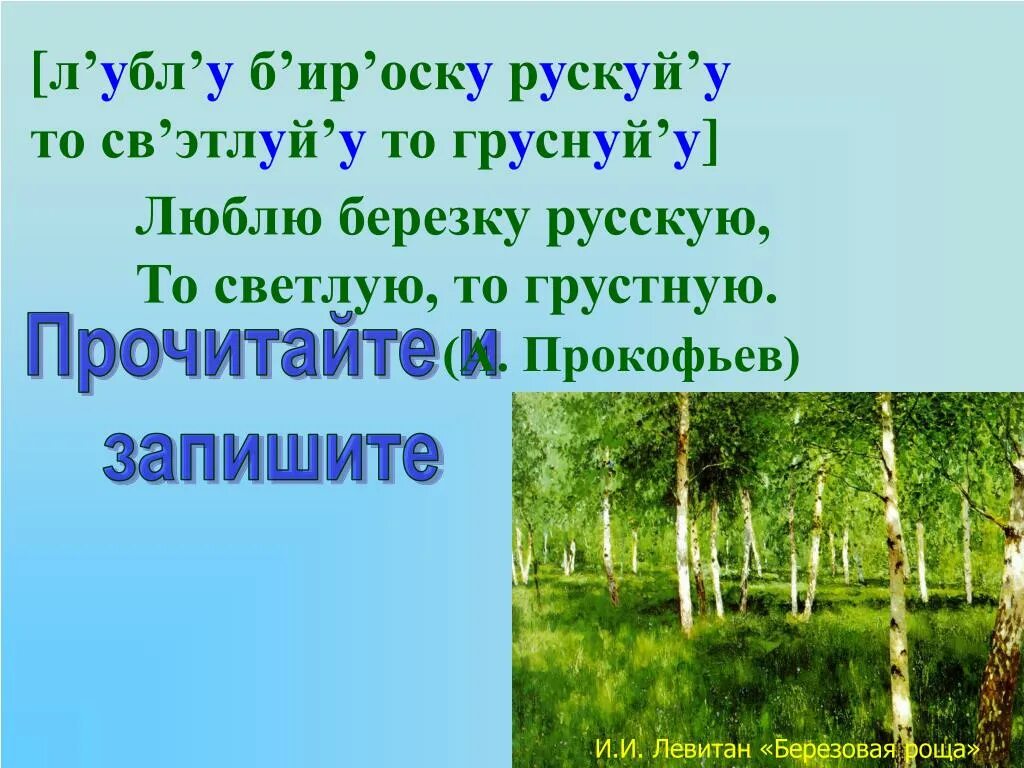 Люблю березу русскую а.Прокофьев. Прокофьева люблю березку русскую. Стихотворение Березка Прокофьев. Люблю березку русскую стихотворение.