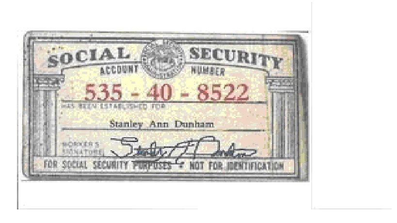 T me ssn number санкт петербург. Ssn как выглядит. social security number. как выглядит ssn в сша. social security number example.