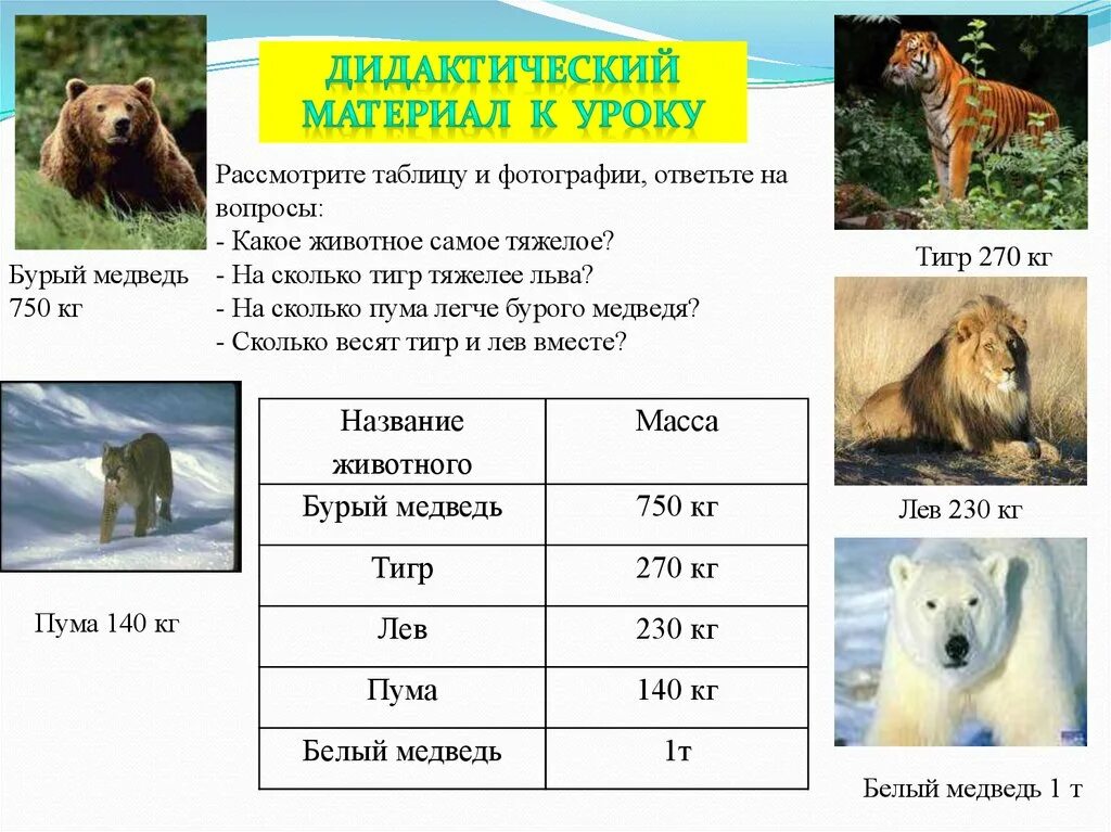 Проды сколько. Таблица медведей. Сколько весят животные. Сколько веситьмедведь. Масса животных таблица.